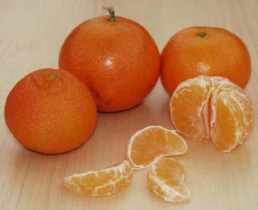 Mandarinen - Mandarinensorten - Mandarinen schälen - bio Mandarinen Schale geniessbar - Clementinen - Satsumas - Tangelos - Zitrusfrüchte aus biologischem Anbau - Hände waschen