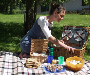 Picknick - Ab ins Grüne - Fingerfood - Kühltasche - spontanes Picknick