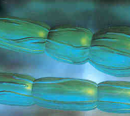 AFA-Algen - Seealgen in Lebensmitteln - Grüne Spanalge - Afa Uralge - Tabletten - krebs - Nährstoffe - Nahrungsergänzungsmittel - Süsswasseralgen -  Afa Uralge