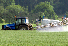 Weniger Gift auf dem Teller? Einsatz von Pestiziden - Pflanzenschutzmittelverordnung - Kritik - Rückstandshöchstmengen - EU-Regelung - Krebserzeugende, erbgutschädigende oder fruchtschädigende Substanzen