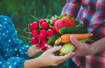 Ökologisch leben: App für den Gemüsegarten