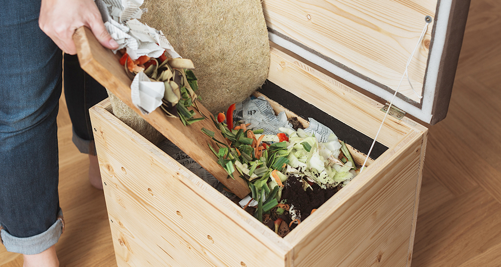 Selbst kompostieren: Die Würmer sind los