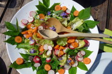 Kochen im April: Wildkräuter im Salat